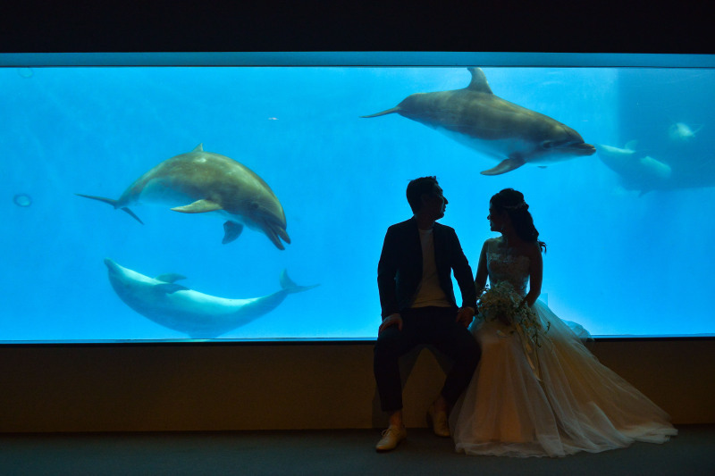 STUDIO CANVAS_投稿写真