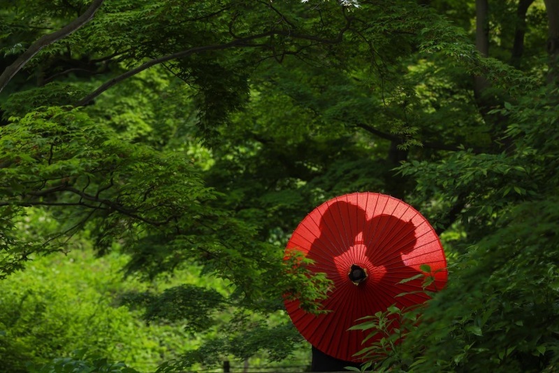 華雅苑 横浜店_投稿写真