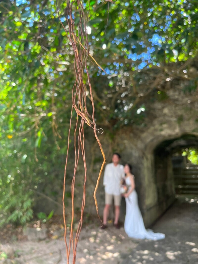 photo studio ouchi_投稿写真