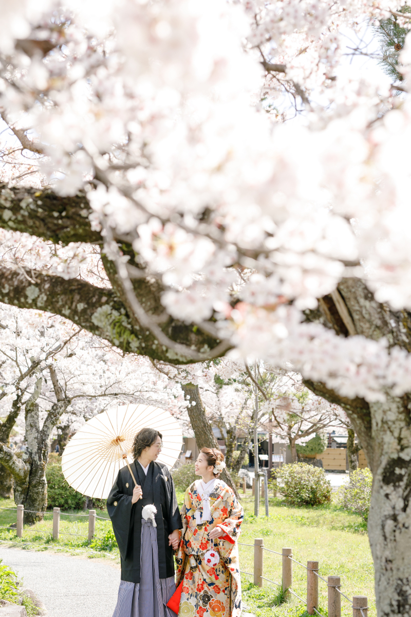 京都の桜での撮影で雰囲気◎早朝撮影がオススメ！_27758_投稿写真_1