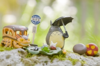 移動スタジオ　まごころ写真館　-Together life True love photo studio-　【出張撮影の専門店】_アドバイス写真