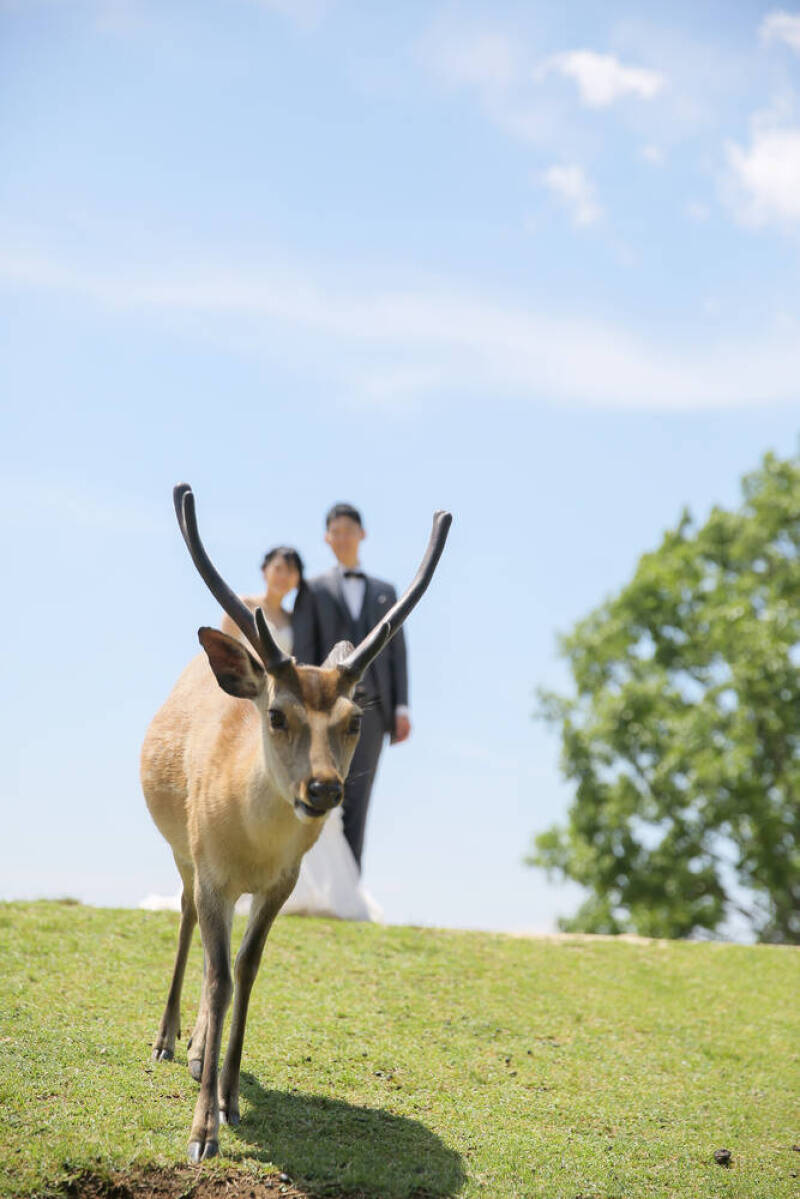 STUDIO TVB 奈良店（スタジオTVB）_投稿写真