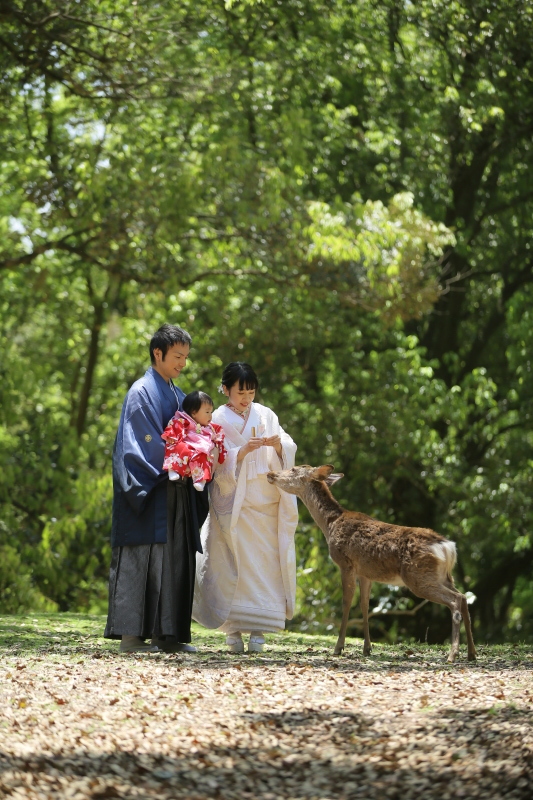 大切な家族と一緒に奈良公園でのびのびと撮影ができます_24663_投稿写真_3