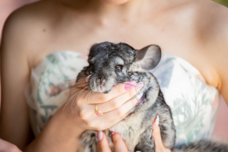 mitsuwa_アドバイス写真