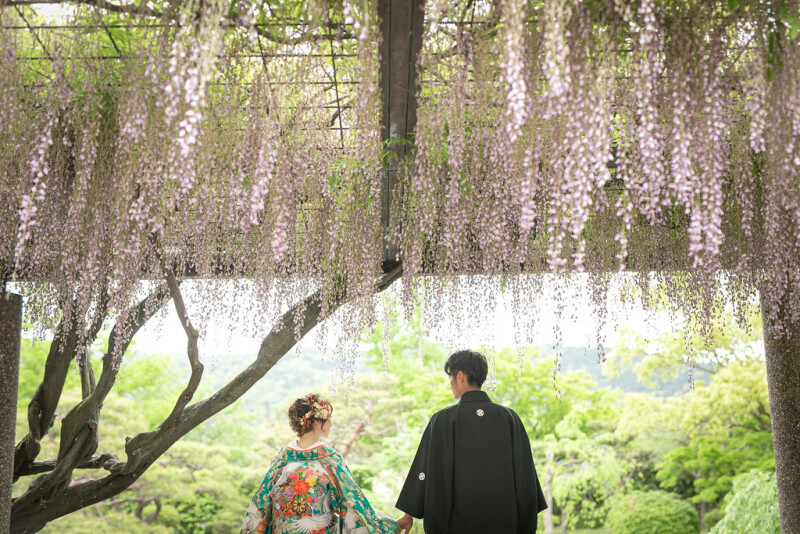 京都 あざらし堂 ー写真部ー_投稿写真