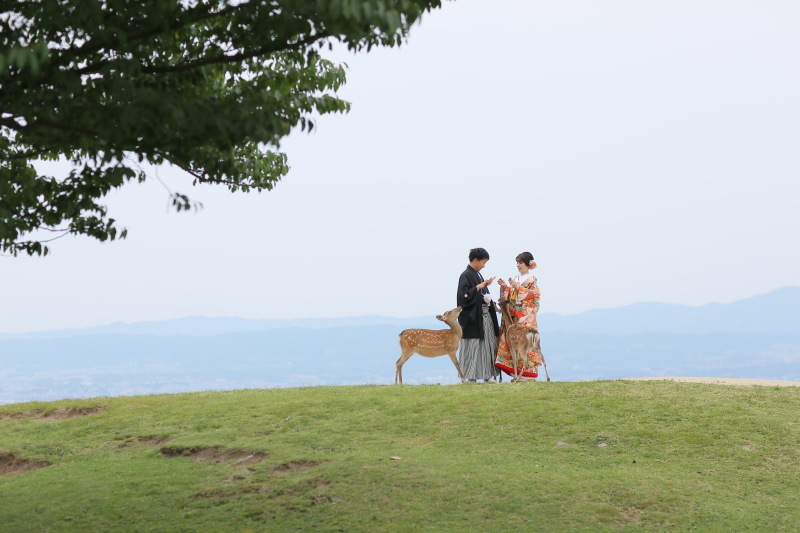 かわいい鹿のキャストさんと一緒に写真が撮れる!_24912_投稿写真_1
