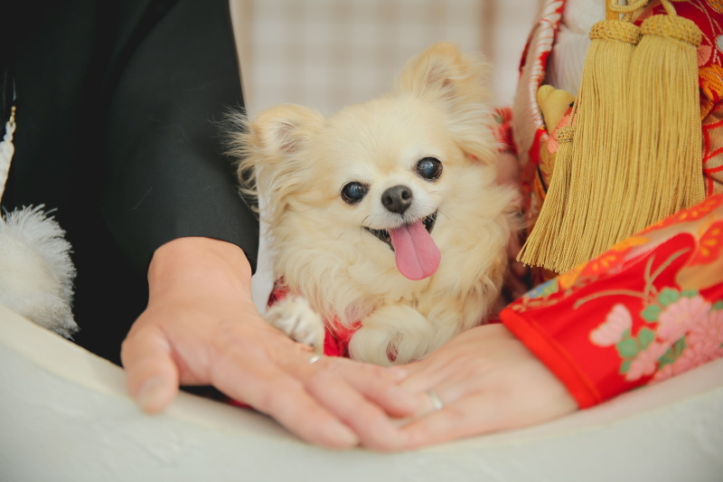 STUDIO TVB 梅田店（スタジオTVB）_投稿写真