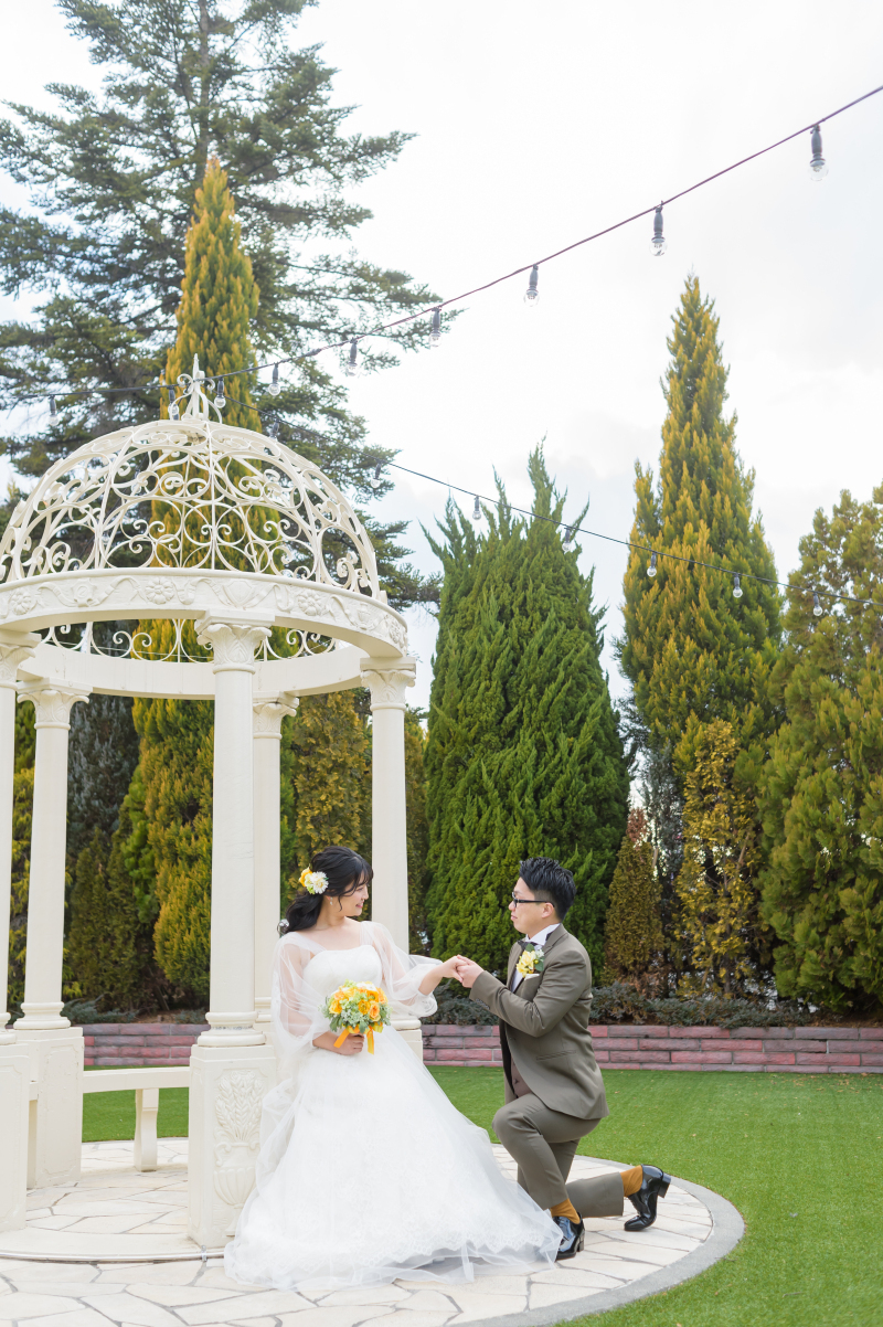 ヒカリフルコート_投稿写真