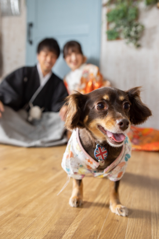 華雅苑[KAGAEN]つくば店_アドバイス写真