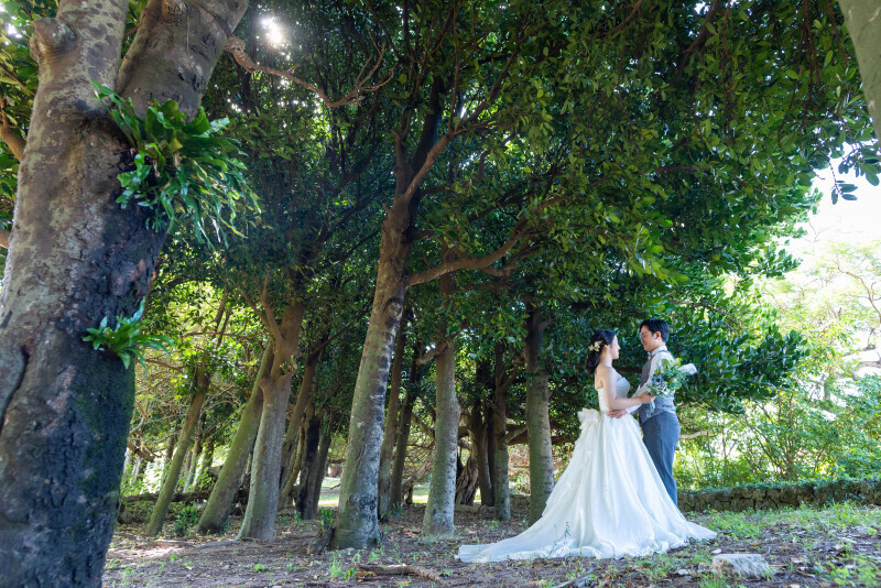 家族も一緒に素敵な写真を撮っていただきました_31803_投稿写真_2