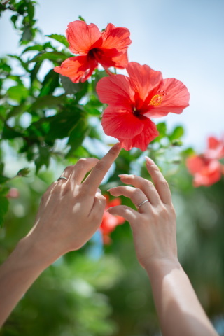 STUDIO SUNS沖縄（スタジオSUNS）_アドバイス写真