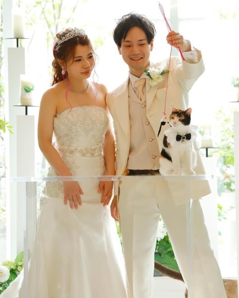 猫と一緒に撮影ができるスタジオさん_25452_投稿写真_1