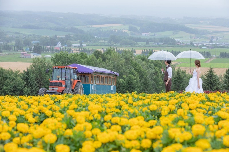 STUDIO SOLA 美瑛店（スタジオSOLA）_投稿写真