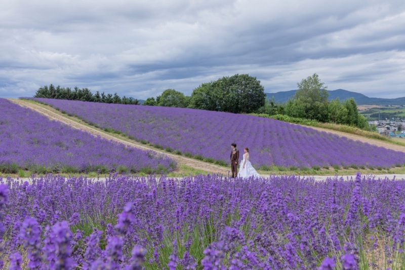 STUDIO SOLA 美瑛店（スタジオSOLA）_投稿写真