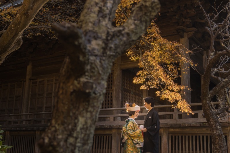 絵画のような芸術的なお写真が撮れるアットホームなスタジオ_25596_投稿写真_3