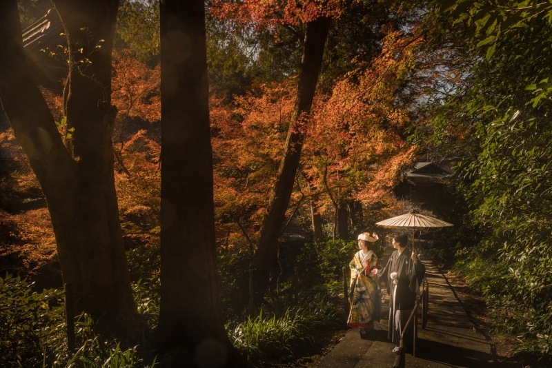 絵画のような芸術的なお写真が撮れるアットホームなスタジオ_25596_投稿写真_1