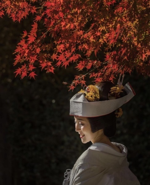 絵画のような芸術的なお写真が撮れるアットホームなスタジオ_25596_投稿写真_2