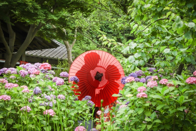 華雅苑 横浜店_投稿写真