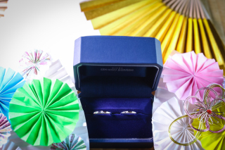 Vivid_アドバイス写真