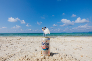 capryフォトウェディング石垣島（キャプリィフォトウェディング石垣島）_アドバイス写真