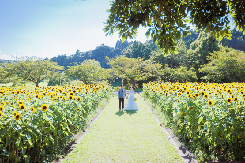 カンマチスタジオ_投稿写真