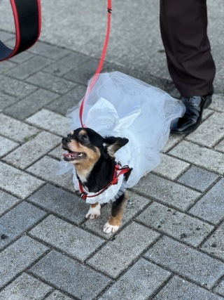 STUDIO TVB 神戸ハーバーランド店（スタジオTVB）_アドバイス写真