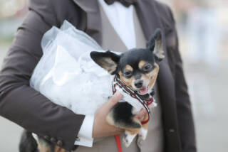 STUDIO TVB 神戸ハーバーランド店（スタジオTVB）_アドバイス写真