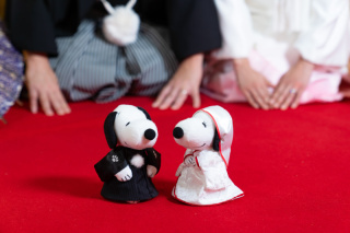 古都photo_アドバイス写真