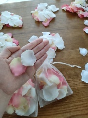 STUDIO 8 名古屋店（スタジオ8）_アドバイス写真