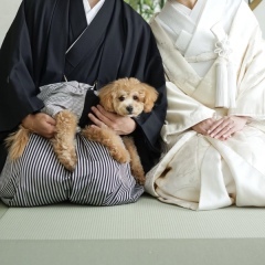 studio PHOTO PARK OSAKA(南港・大阪梅田）_アドバイス写真