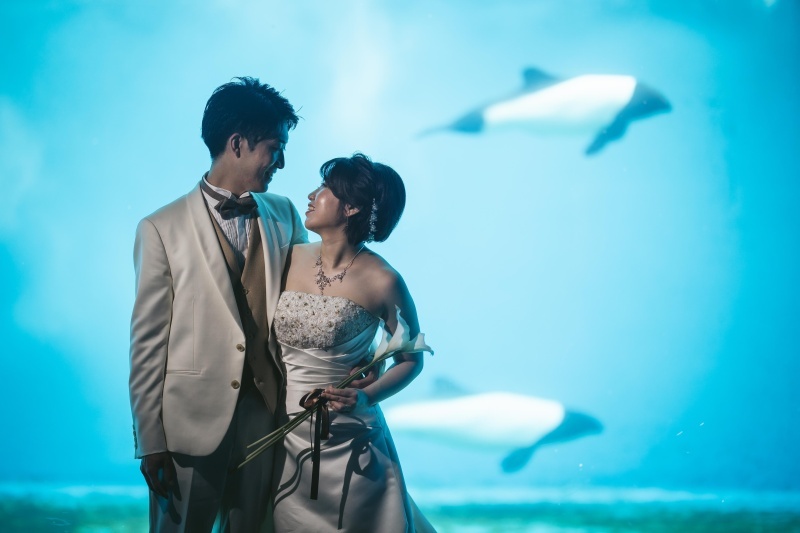 ロームフォトグラフィ【ROAM Photography】 _投稿写真