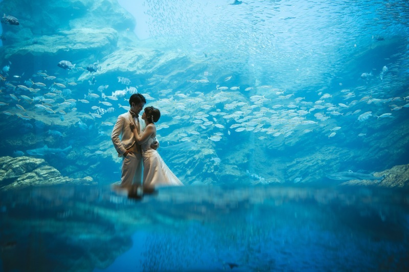 ロームフォトグラフィ【ROAM Photography】 _投稿写真