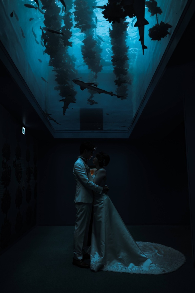 ロームフォトグラフィ【ROAM Photography】 _投稿写真