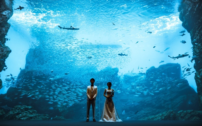 ロームフォトグラフィ【ROAM Photography】 _投稿写真