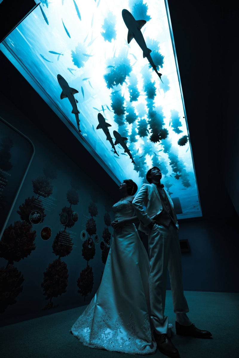 ロームフォトグラフィ【ROAM Photography】 _投稿写真