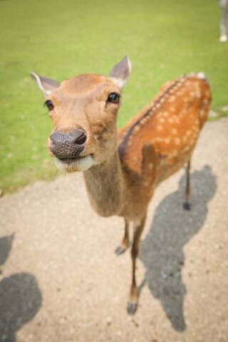 CLAIRE奈良店（チャペルクレール）_アドバイス写真