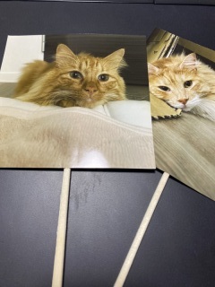 Studio Noi＜ノイ＞_アドバイス写真