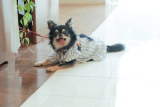 STUDIO AQUA 軽井沢店（スタジオAQUA）_アドバイス写真