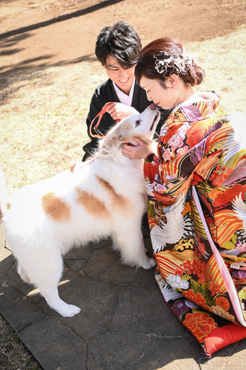 華雅苑[KAGAEN]つくば店_投稿写真