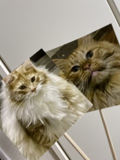 Studio Noi＜ノイ＞_アドバイス写真