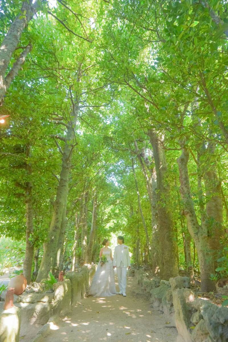 Tim Tim Photo Studio 沖縄_投稿写真