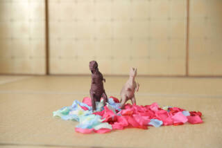 STUDIO TVB 梅田店（スタジオTVB）_アドバイス写真