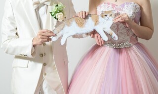 Sereno by Studio Blue_アドバイス写真