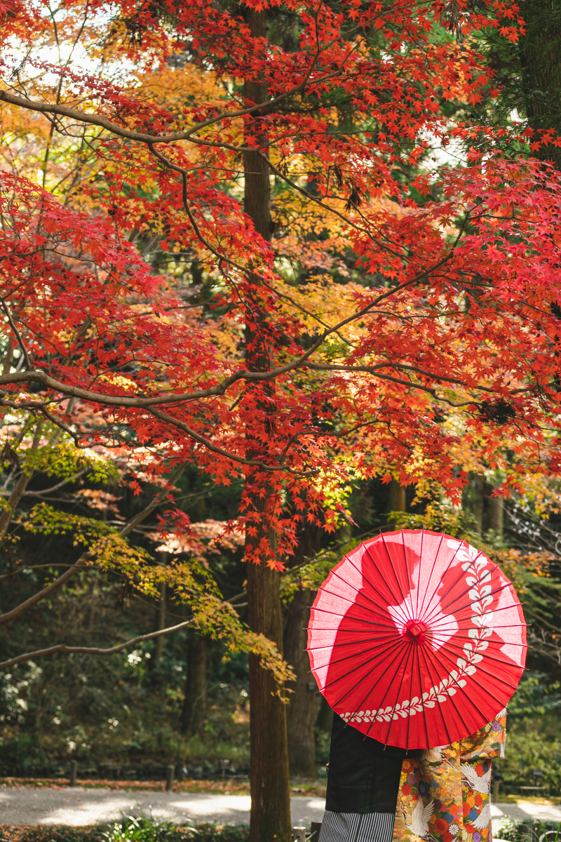 コスパ◎明朗会計_29704_投稿写真_1