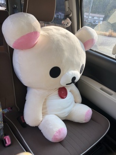 フォトウエディング福山_アドバイス写真