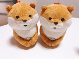 フォトウエディング福山_アドバイス写真