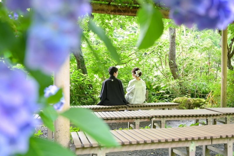 華雅苑　鎌倉店_投稿写真