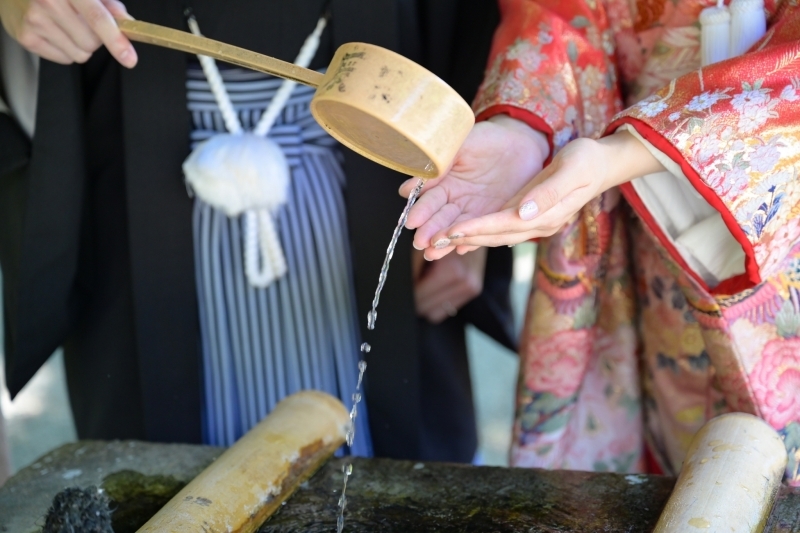 華雅苑　鎌倉店_投稿写真