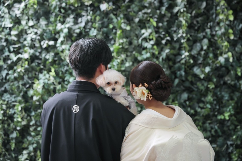 STUDIO AQUA 浅草店（スタジオAQUA）_投稿写真