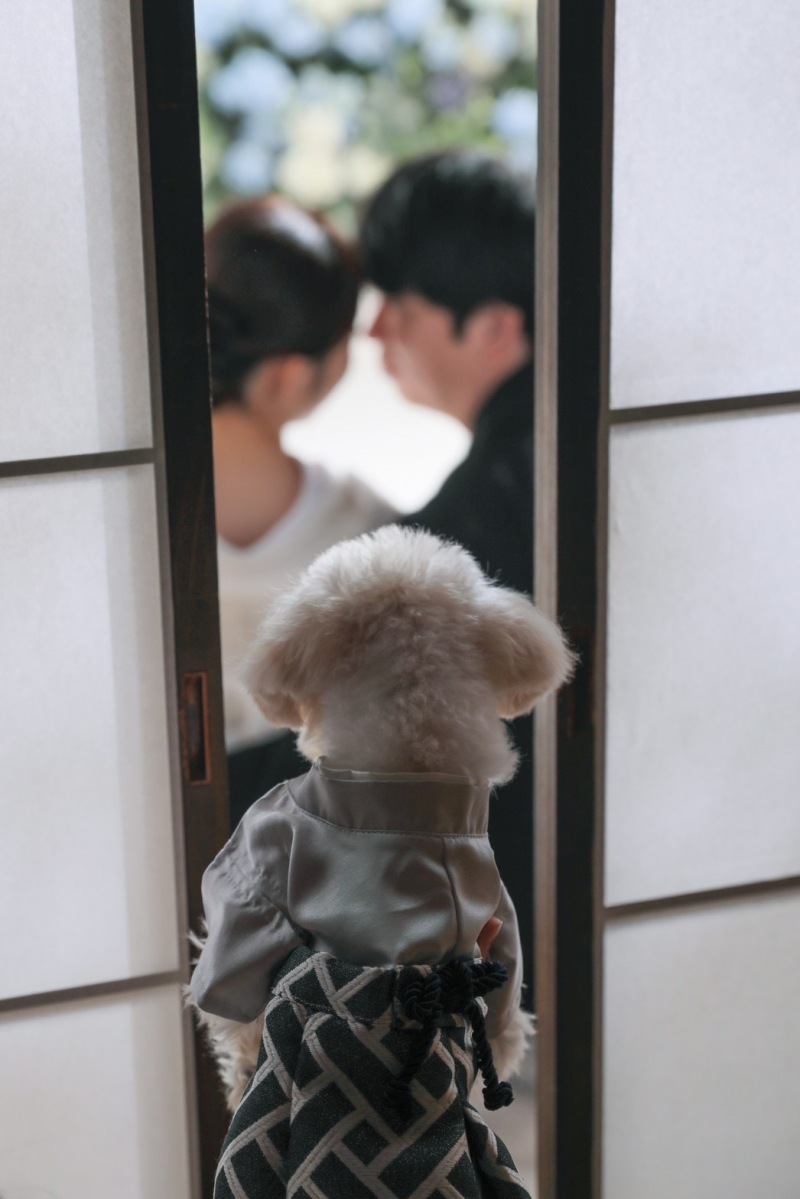 STUDIO AQUA 浅草店（スタジオAQUA）_投稿写真